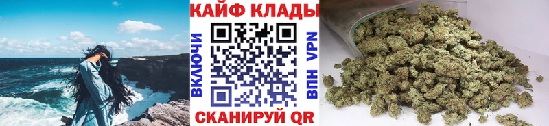 Как найти наркотики Северская ГАШ  Кетамин  Alpha-PVP  Меф мяу мяу  МЕТАДОН  Кокаин  Псилоцибиновые грибы 
