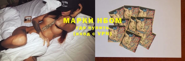 дурь Пестово