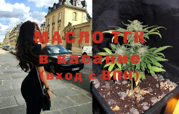 стаф Богородицк