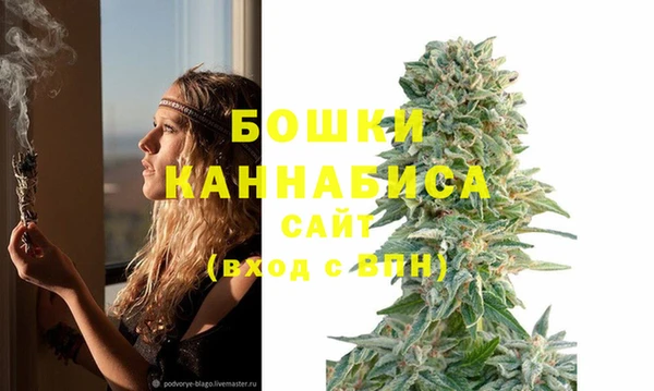 стаф Богородицк