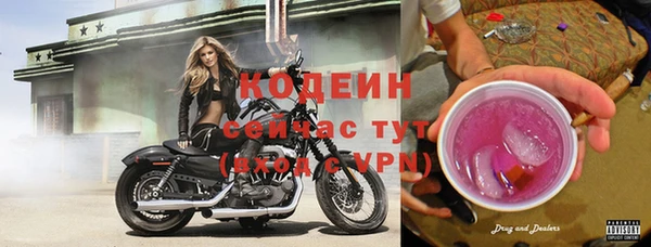 стаф Богородицк