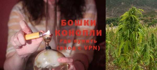 стаф Богородицк
